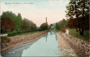 Springbank Ponds London Ontario ON Unused Postcard F16