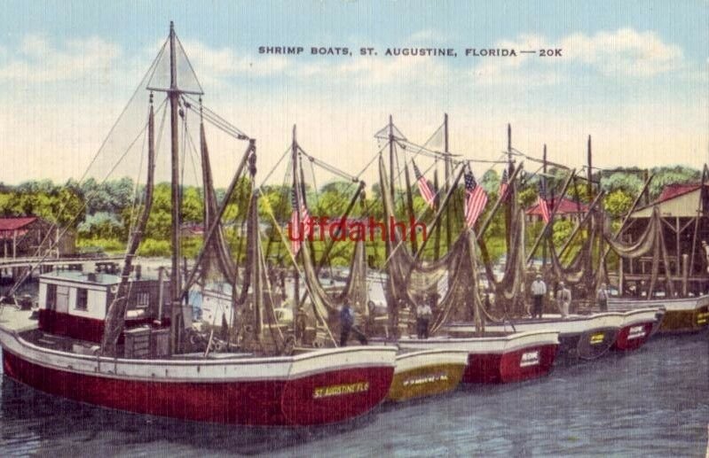 SHRIMP BOATS, ST. AUGUSTINE, FL 1964 125 documented vessels in the fleet