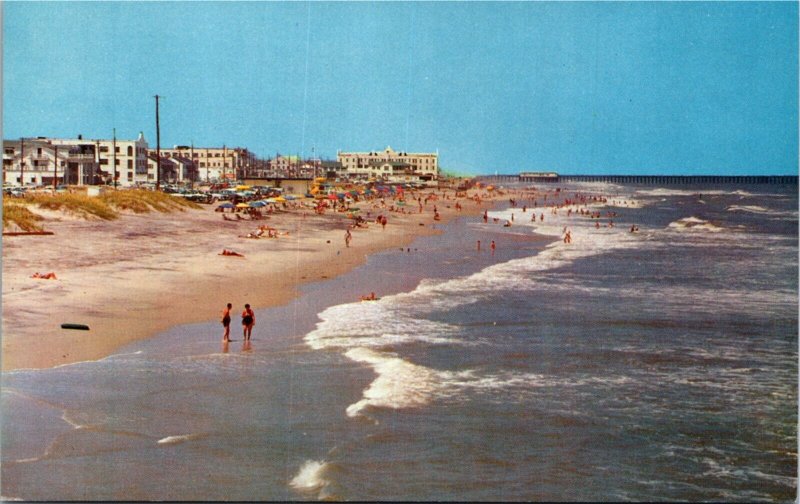 Postcard VA Virginia Beach Looking North Beach Scene Umbrellas Pier 1960s S113