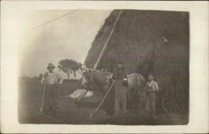 Farming Haying Horse Team Farmers c1910 Amateur Real Photo Postcard