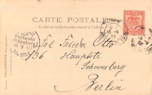 B487 Algeria 1903 Algiers Square Palm Trees vintage  postcard