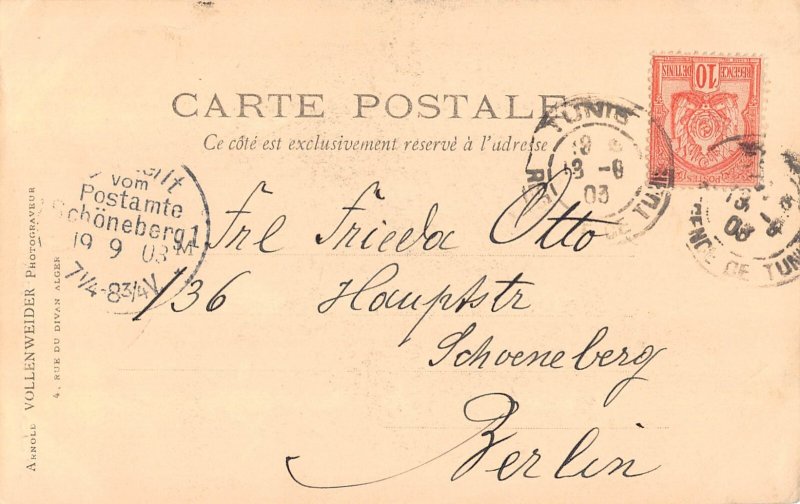 B487 Algeria 1903 Algiers Square Palm Trees vintage  postcard