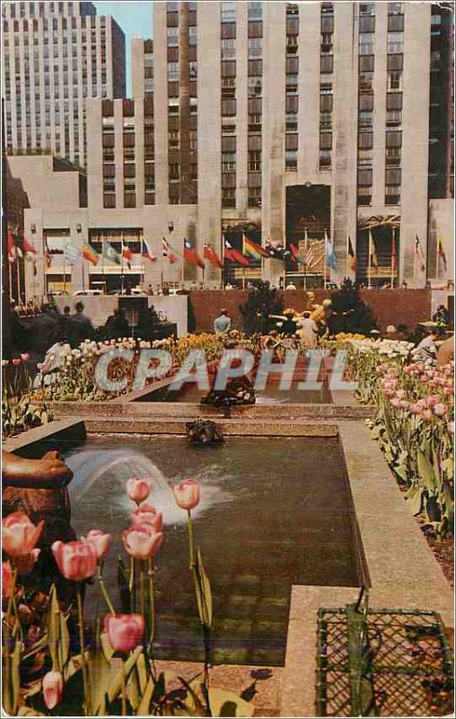 Postcard Modern New York City The Rockefeller Center Channel Gardens