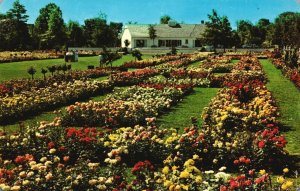Central Grass Mall Jackson Perkins Rose Garden Newark New York Vintage Postcard
