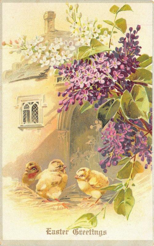 EASTER GREETINGS c1906 Postcard Lilacs Three Chicks by Tucks