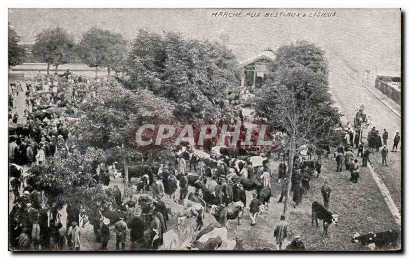 Old Postcard Walk cattle in Lisieux