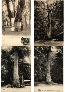 TREES Mostly FRANCE 50 Vintage postcards pre-1940 (L3417)