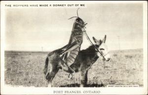 Fort Frances Ontario Grasshopper Riding Donkey Exaggeration RPPC Postcard