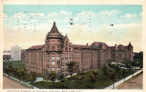 Vintage Postcard 1914 American Museum Of Natural History New York City New York