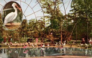 New York Zoological Park Interior Of Flying Cage