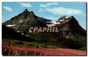 USA Modern Postcard Fireweed Glacier National Park Montana