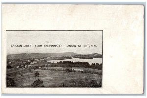 c1905 Canaan Street From The Pinnacle, Canaan Street New Hampshire NH Postcard