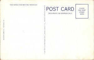 View, Peaks of Otter, Bedford VA Vintage Postcard L74 