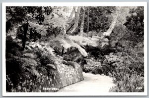 Hollywood California 1940s RPPC Real Photo Postcard Fern Dell