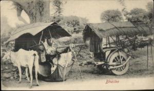 India - Native Bhaliee Oxen Wagon c1910 Postcard