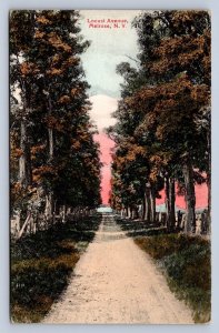 J88/ Melrose New York Postcard c1910 Schaghticoke Locust Avenue Homes 451