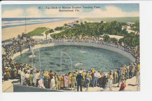 FL LN Marineland Top Deck NOW GONE LINEN