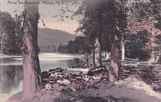 Along The Beaverkill Roscoe New York 1908