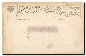 Postcard Old Cat Dog