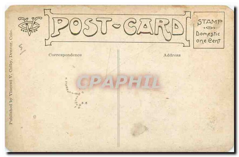 Postcard Old Cat Dog