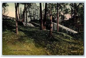 c1950's The Steps Sprawling Staircase To Downtown Historic Ansonia CT Postcard