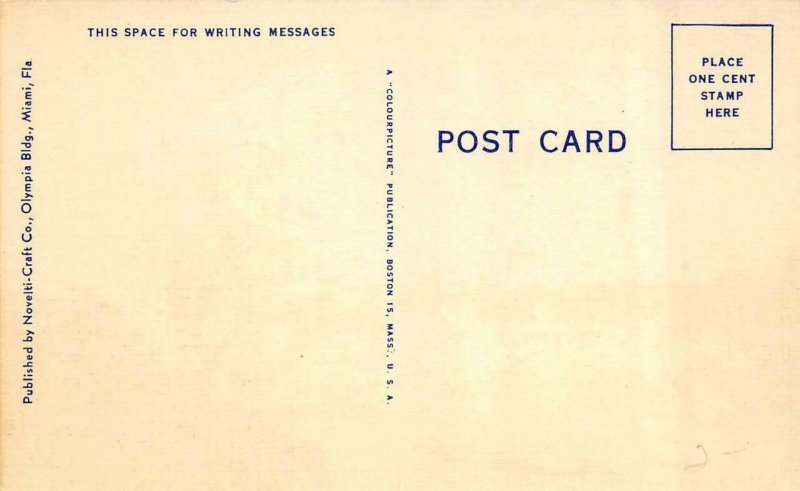 MIAMI, FL Florida  BISCAYNE BOULEVARD~South  Semi~Truck Buses  c1940's Postcard