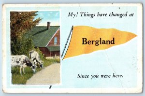 Bergland Austria Postcard My Things Have Changed 1910 Pennant Vintage Unposted