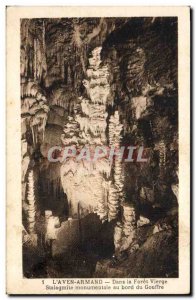 Old Postcard Cave Caves Aven Armand In the virgin forest monumental Stalagmit...