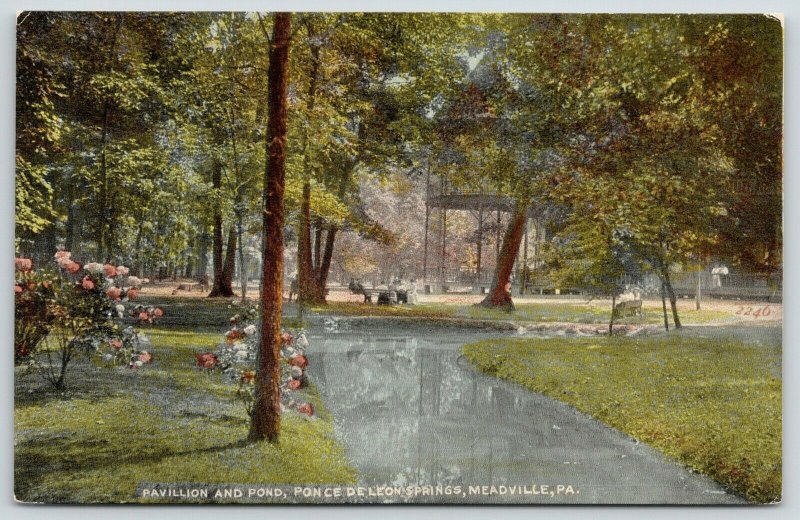 Meadville Pennsylvania~Ponce De Leon Springs~Pavilion & Pond~Rose Bushes~c1910