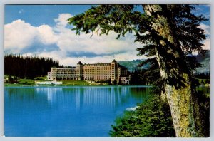 Chateau Lake Louise, Banff National Park, Alberta, Vintage Chrome Postcard #1