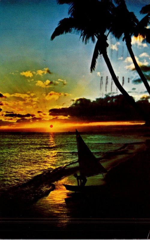 Hawaii Sun Kissed Beach and Coconut Palms 1967