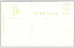 Norfolk Virginia~Birdseye View~Downtown Rooftops & Shops~Church Spires~c1910 PC