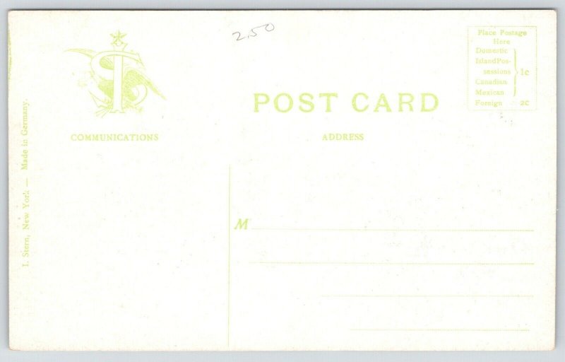 Norfolk Virginia~Birdseye View~Downtown Rooftops & Shops~Church Spires~c1910 PC