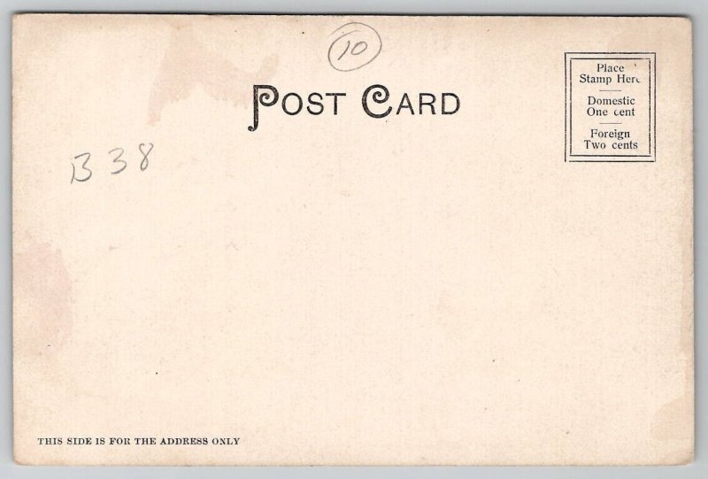 Tampa FL Bird's Eye View c1905 Florida Postcard H35