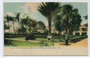 The Promenade Hotel Royal Poinciana Palm Beach Florida 1907c Rotograph postcard