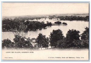 Clinton Iowa IA Postcard Among The Islands Mississippi River Tuck c1905 Antique