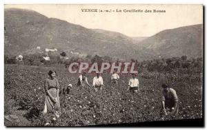 Old Postcard picking roses Vence