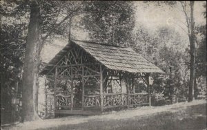 Chester West Virginia WV Rock Springs Park 1900s-20s Vintage Postcard