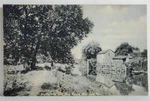 Warren Pennsylvania Along the Old Mill Race c1908 PA Postcard S19