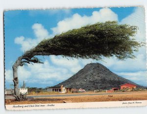 Postcard Hooiberg and Divi Divi tree, Aruba