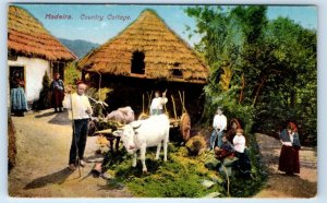 Madeira Country Cottage PORTUGAL Postcard