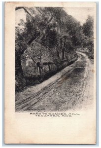 1907 Road To Quaker Mill Scene Tecumseh Michigan MI Posted Vintage Postcard