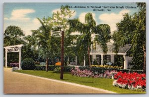 Sarasota FL~Entrance to Tropical Sarasota Jungle Gardens~Vintage Linen Postcard