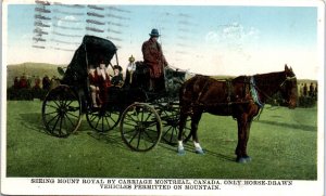 1930s Seeing Mount Royal by Carriage Montreal Canada Horse & Buggy Postcard