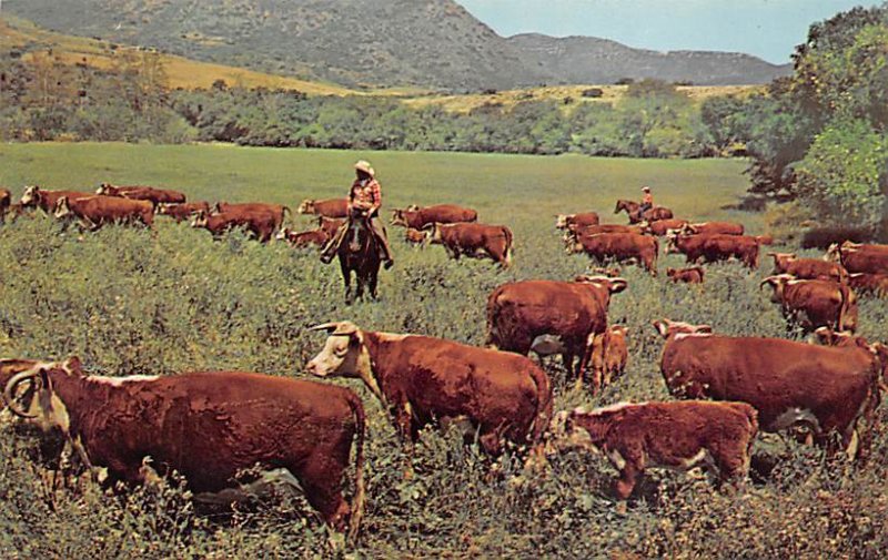 Tending the Herd Cow Unused 