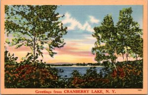 Postcard NY - Greetings from Cranberry Lake, NY - view of lake Tichnor 74005