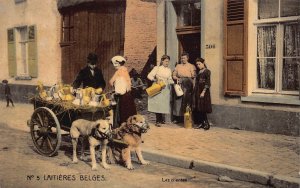 Belgium Flemish Milk Maid Seller Dog Latiere flamande Clients postcard B913