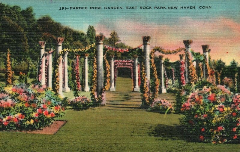 Vintage Postcard 1930's Pardee Rose Garden East Rock Park New Haven Connecticut