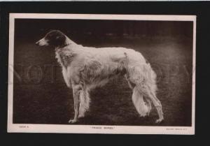 077053 BORZOI Prince Borzo Vintage ROTARY Photo PC