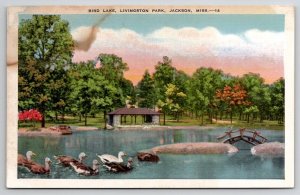 Jackson Mississippi Bird Lake Livingtonston Park Postcard E25